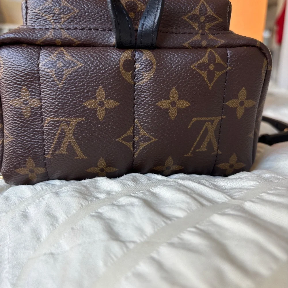 LV Palm Spring Mini - Picture 6 of 12